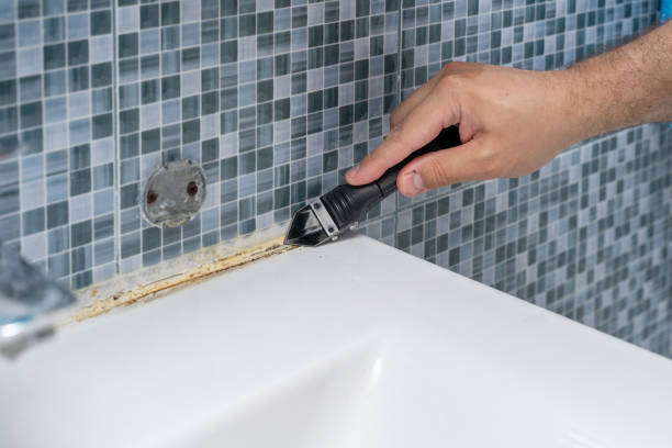 Best Health and Safety Mold Remediation in Grand Rapids, MI