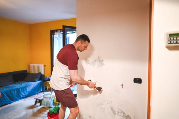 Best Localized Mold Remediation (e.g., coastal areas, humid climates) in Grand Rapids, MI